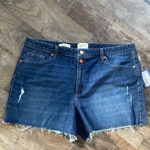 NWT Universal thread jean shorts 18 / 34 R raw hem